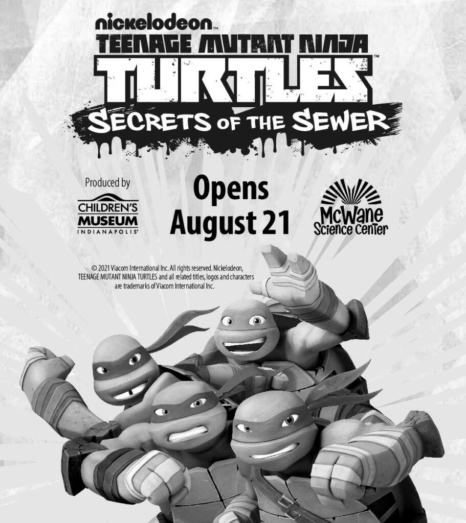 This image has an empty alt attribute; its file name is Teenage-Mutant-Ninja-3.56x4-911x1024.jpg